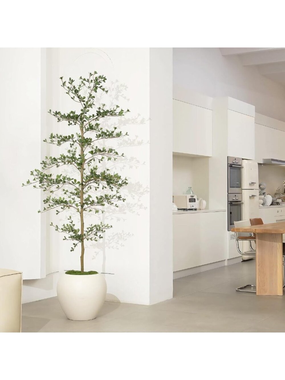 7ft Black Olive Tree with Natural Trunk & Lifelike Leaves - Indoor/Outdoor Decor - Picture 2 of 7